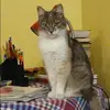 Отзыв от Варвара Русакова
